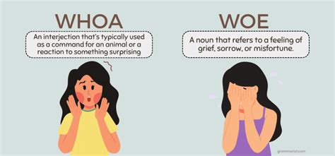 WHOA Definition & Meaning .